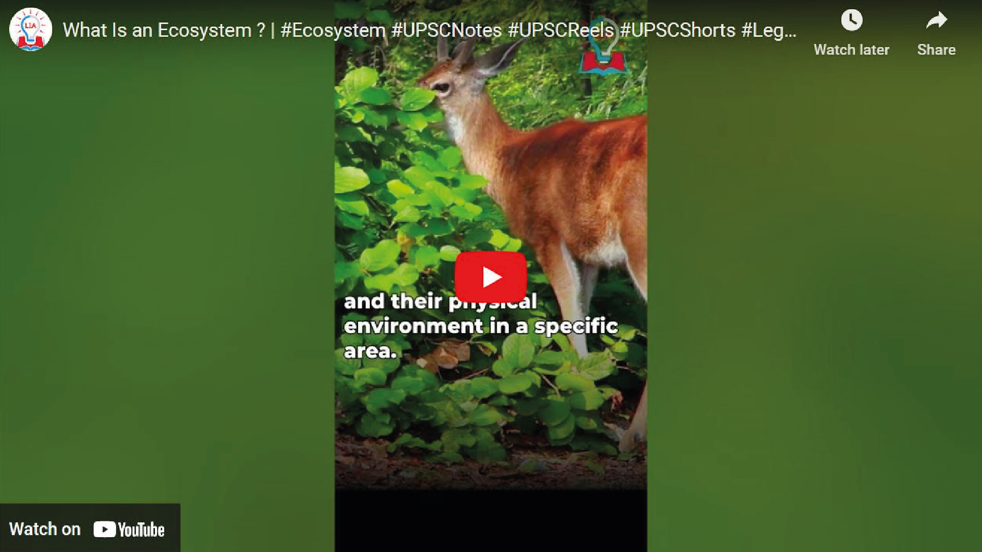 What is an Ecosystem ?